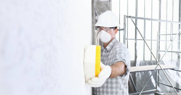 Why You Should Choose Our Mold Remediation Services in Sauk City, WI