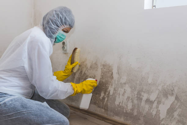 Forensic Mold Investigation in Sauk City, WI